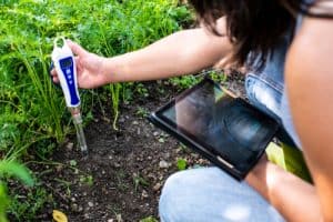 Ph Meter Tester In Soil. Measure Soil With Digital Device