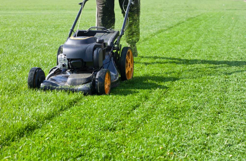 Person Mowing lawn lawn treatment