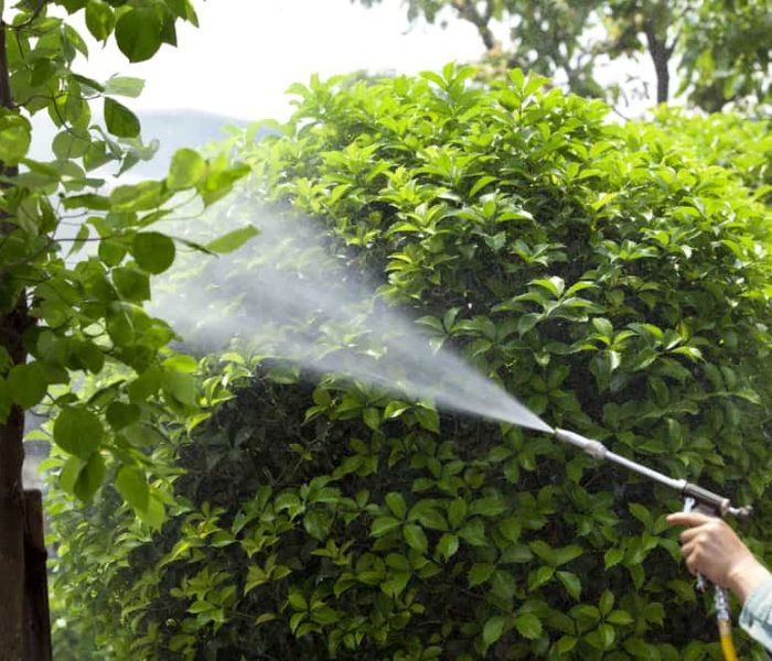 An,Image,Of,Chemical,Spraying